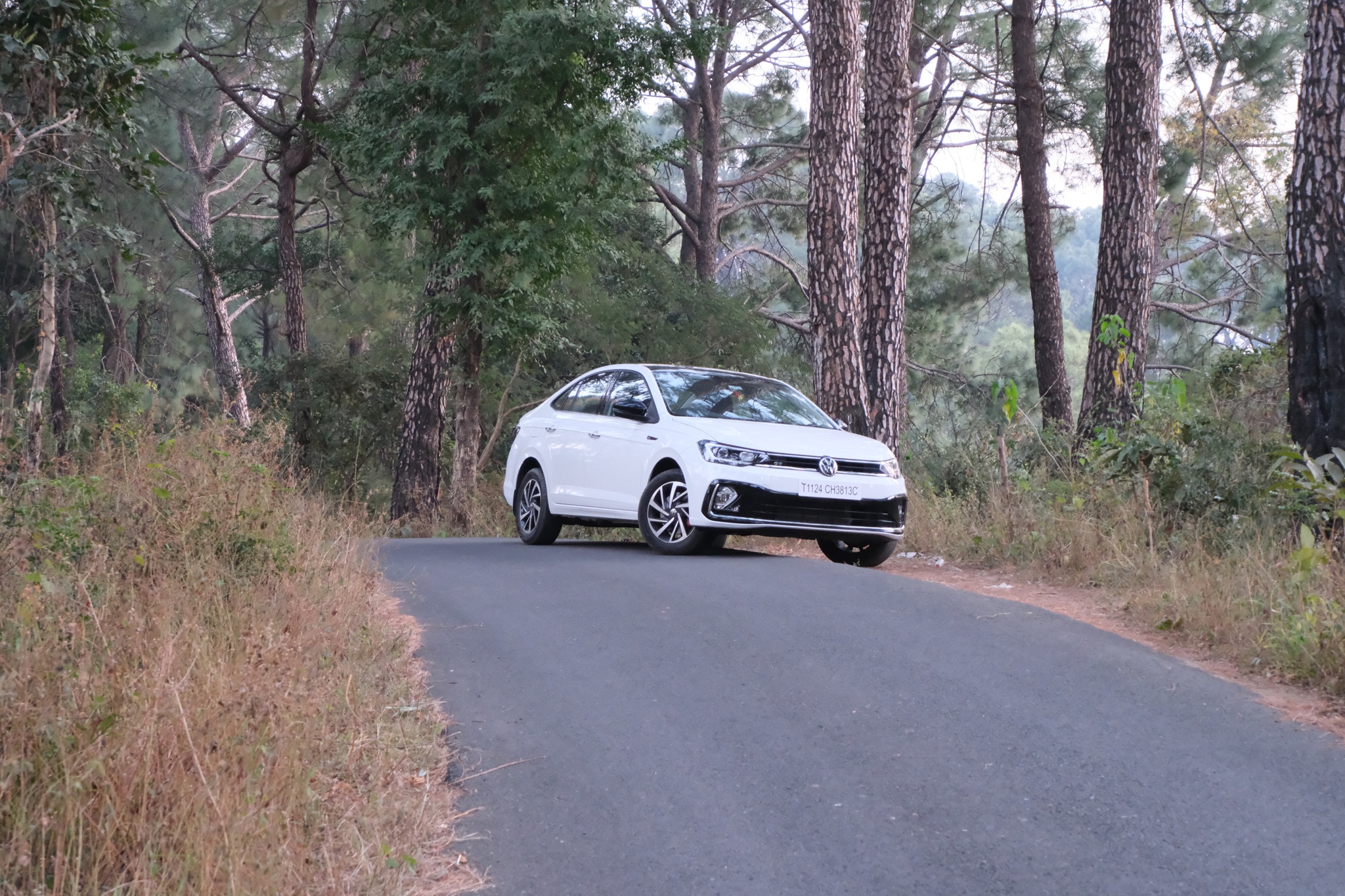 A white car on a road in the forest