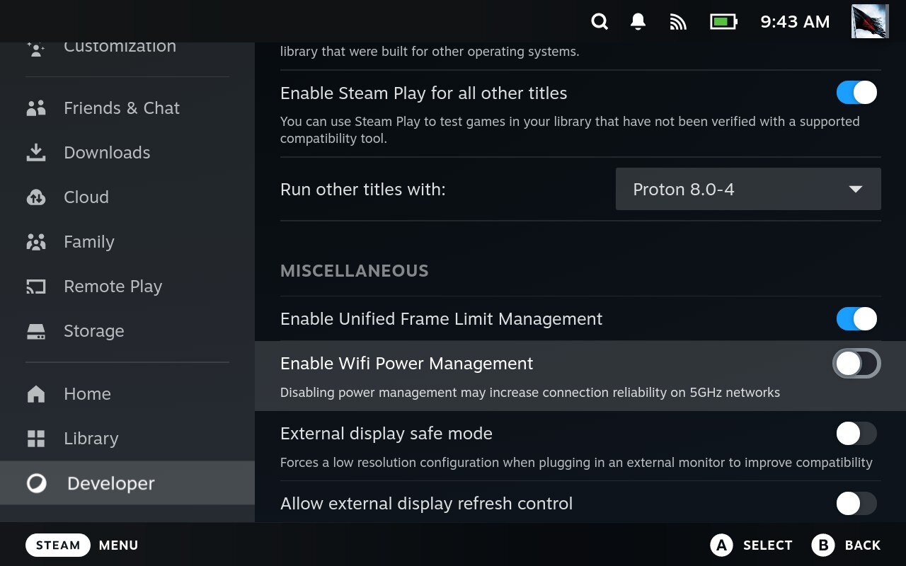 Screenshot of Developer Mode Settings on Steam Deck
